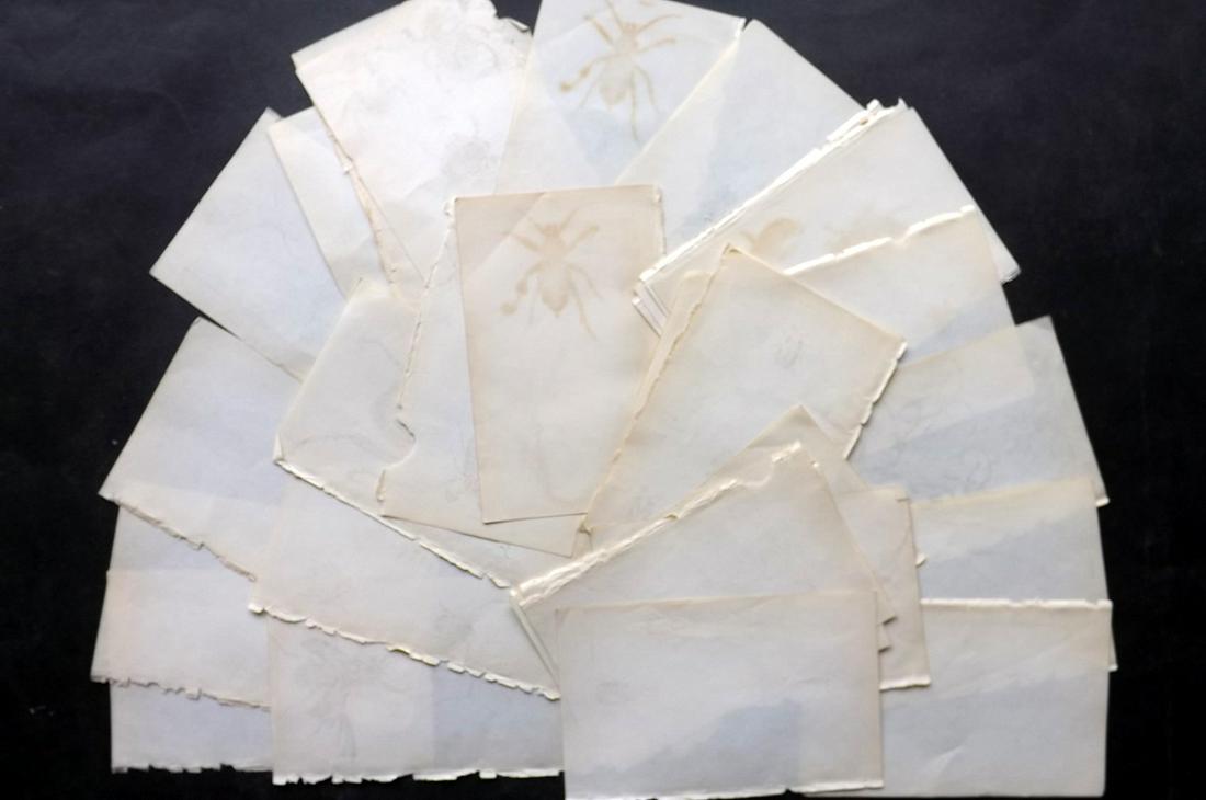 Old Paper, Bookbinding C1840 Lot of 32 Wove Sheets. 12mo: Uniform Wove Paper Sheets, British, 12mo. Paper Size: 6.5 x 4 inch (17 x 10cm) Almost all with light offsetting, otherwise fine