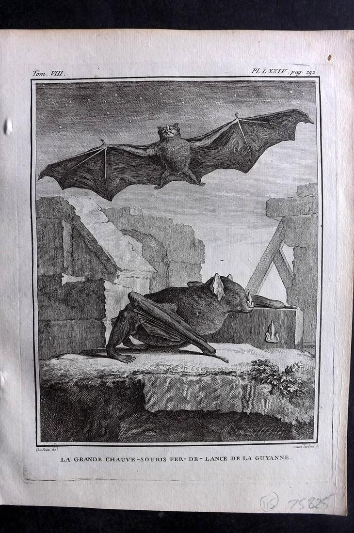 Buffon, Comte de 1789 Print. Bats: Copper Plate Published 1749-89 by Imprimerie Royale, Paris for "Histoire naturelle, gÃ©nÃ©rale et particuliÃ¨re" Early and 4to Edition by Georges-Louis Leclerc, Comte de Buffon. Paper Size: 10 x