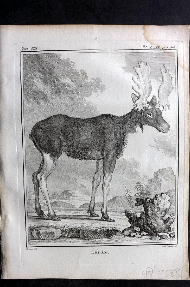 Buffon, Comte de 1789 Print. Elk: Copper Plate Published 1749-89 by Imprimerie Royale, Paris for "Histoire naturelle, gÃ©nÃ©rale et particuliÃ¨re" Early and 4to Edition by Georges-Louis Leclerc, Comte de Buffon. Paper Size: 10 x