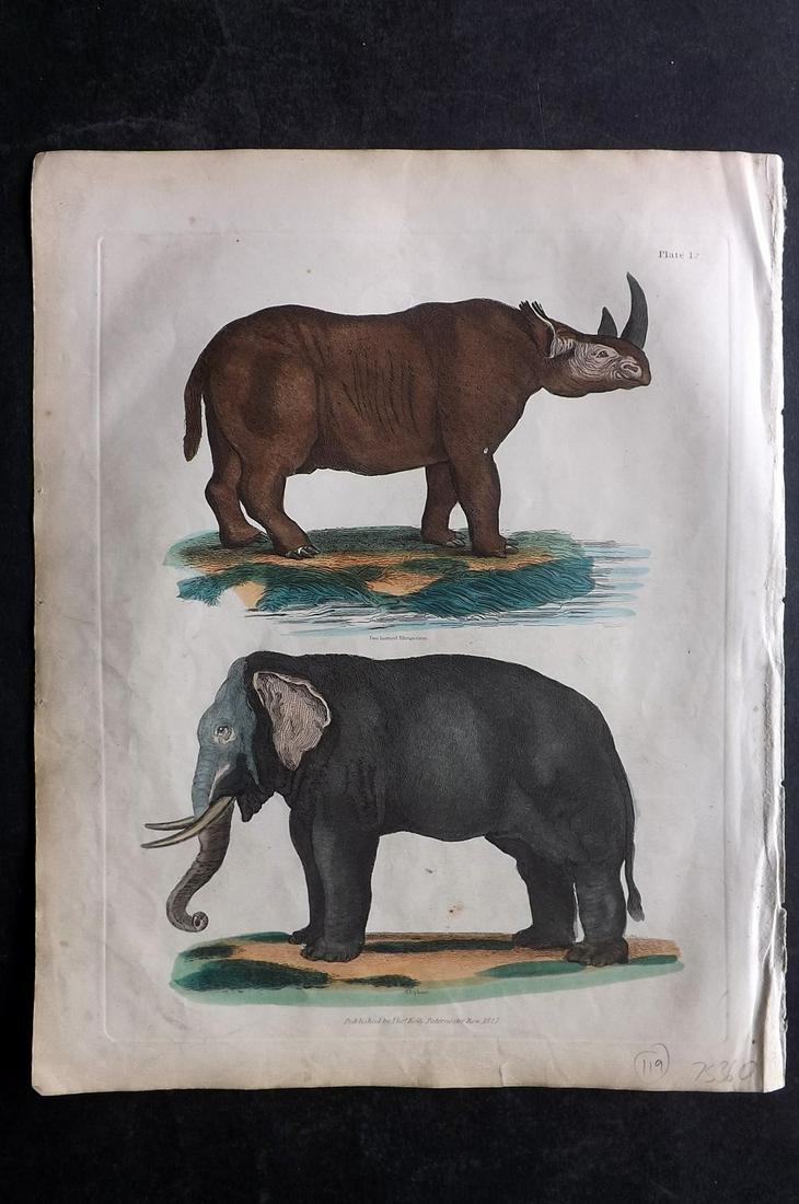 Buffon & Smellie 1840 Hand Col Print. Elephant & Rhino: Hand Colored Copper Plate Published 1840 by Thomas Kelly, London for "A Natural History, General and Particular..." by The Comte de Buffon and William Smellie. Fine hand colour as issued. Paper Size: 