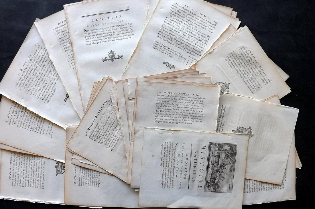 Woodcut Tailpieces 1789 Lot of 45 Sheets by Buffon: 45 Sheets of French text sheets, containing containing Woodcut tailpieces Published 1749-89 by Imprimerie Royale, Paris for "Histoire naturelle, générale et particulière" Early and 4to Edition by G
