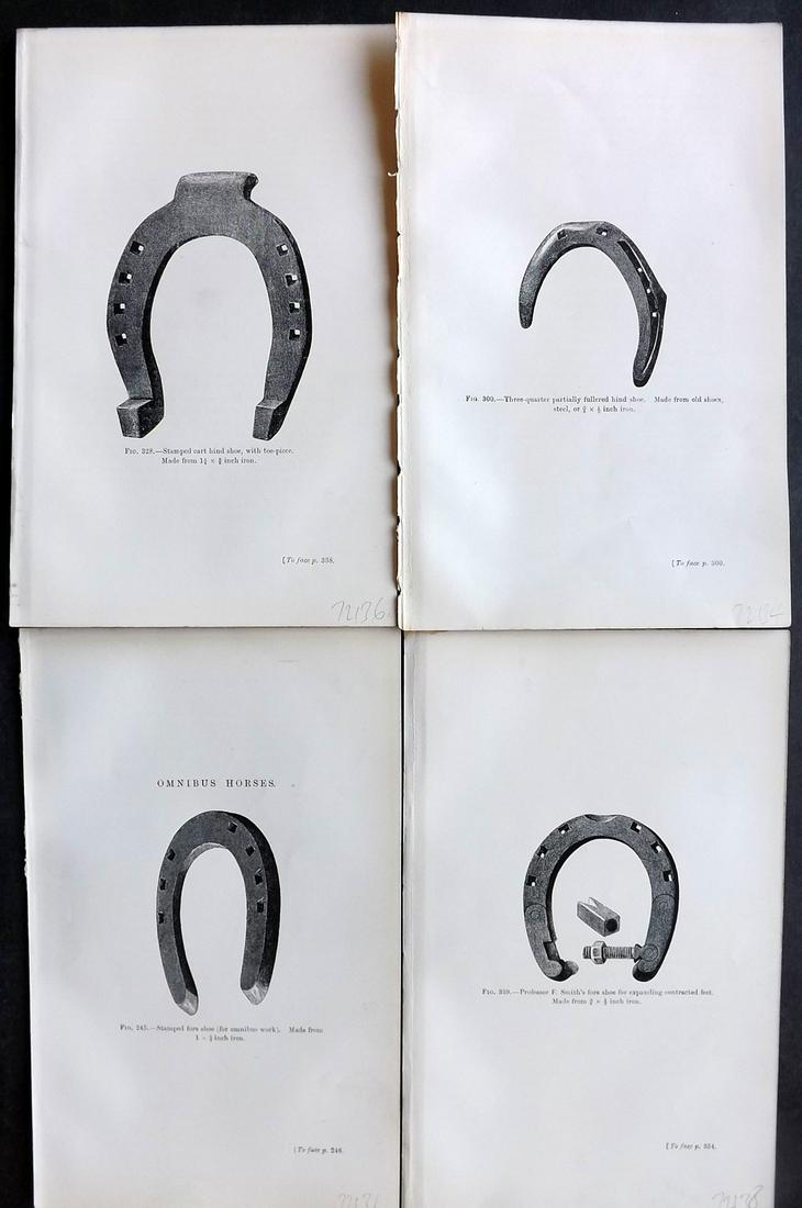 Dollar, John 1898 Lot of 4 Scarce Horse Shoe Prints (1 of 2)