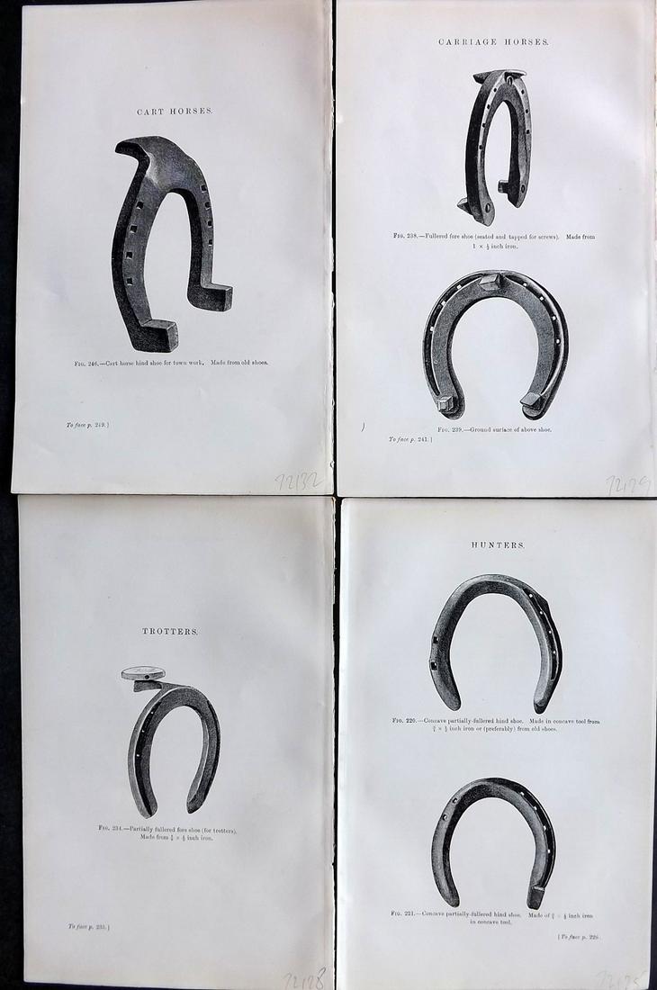 Dollar, John 1898 Lot of 4 Scarce Horse Shoe Prints (1 of 2)