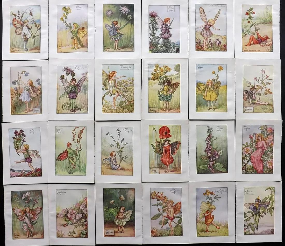 Barker, Cicely Mary C1940 Lot of 24 Flower-Fairy Prints: Summer Fairies. Lithographs Published C1935-45 by Blackie & Son, London & Glasgow for the "Flower-Fairies" Series by Cicely Mary Barker. Reverse side blank. Paper Size: 5.5 x 4 inch (14 x 10cm) Good C
