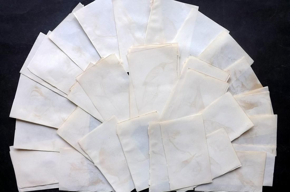 Old Paper, Bookbinding C1840 Lot of 38 Wove Sheets. 12mo: Uniform Wove Paper Sheets, British, 12mo. Paper Size: 6.5 x 4 inch (17 x 10cm) All with offsetting, otherwise fine