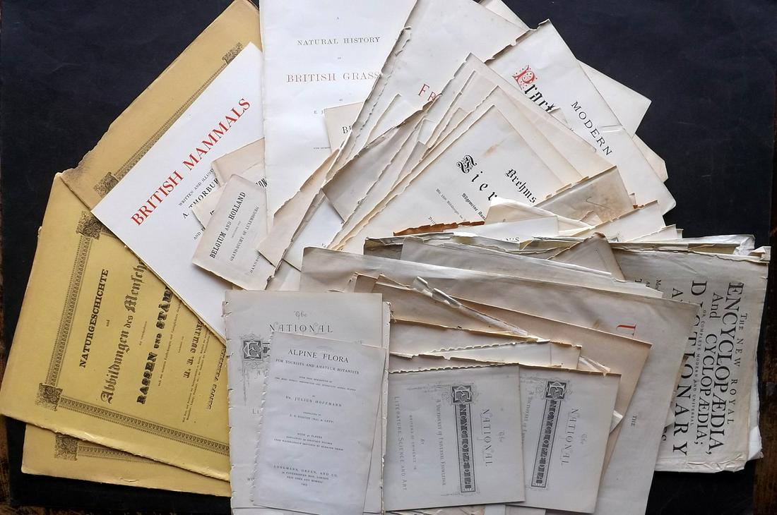 Title Pages 18th-20th Cent. Lot of 150 (1 of 2)