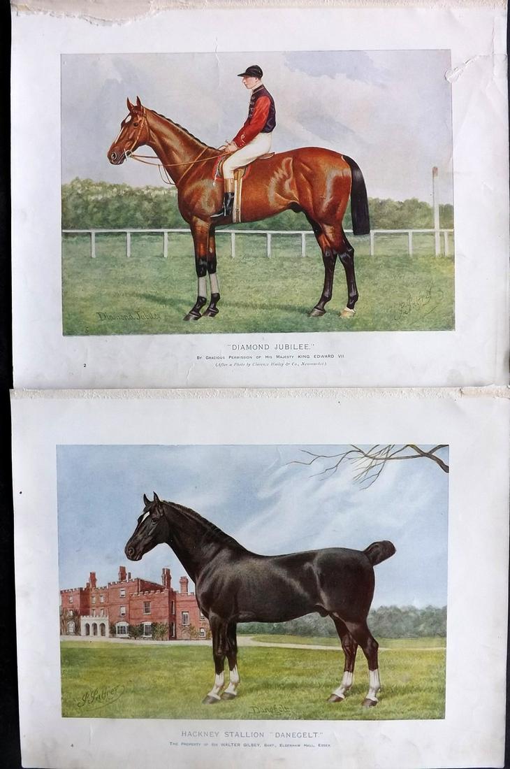 Prince-Sheldon, J. 1902 Pair of Horse Prints (1 of 2)