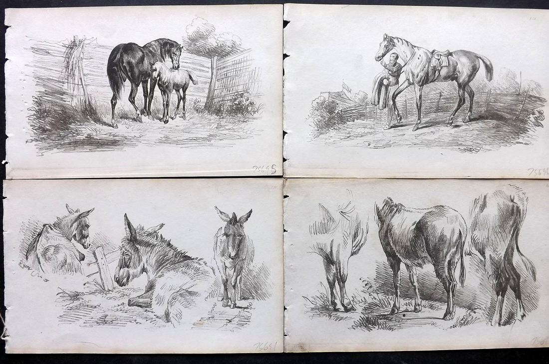 Davis & Co. (Pub) C1825 Lot of 4 Prints. Horses, Mules (1 of 2)