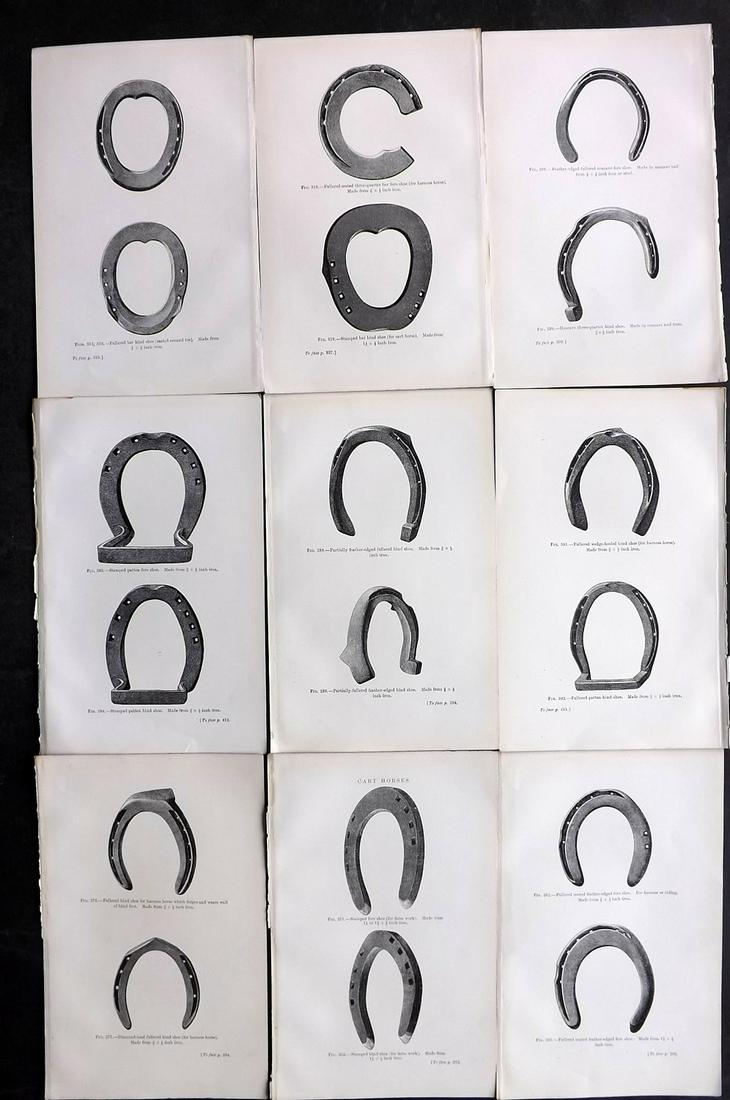 Dollar, John 1898 Lot of 9 Scarce Horse Shoe Prints (1 of 2)