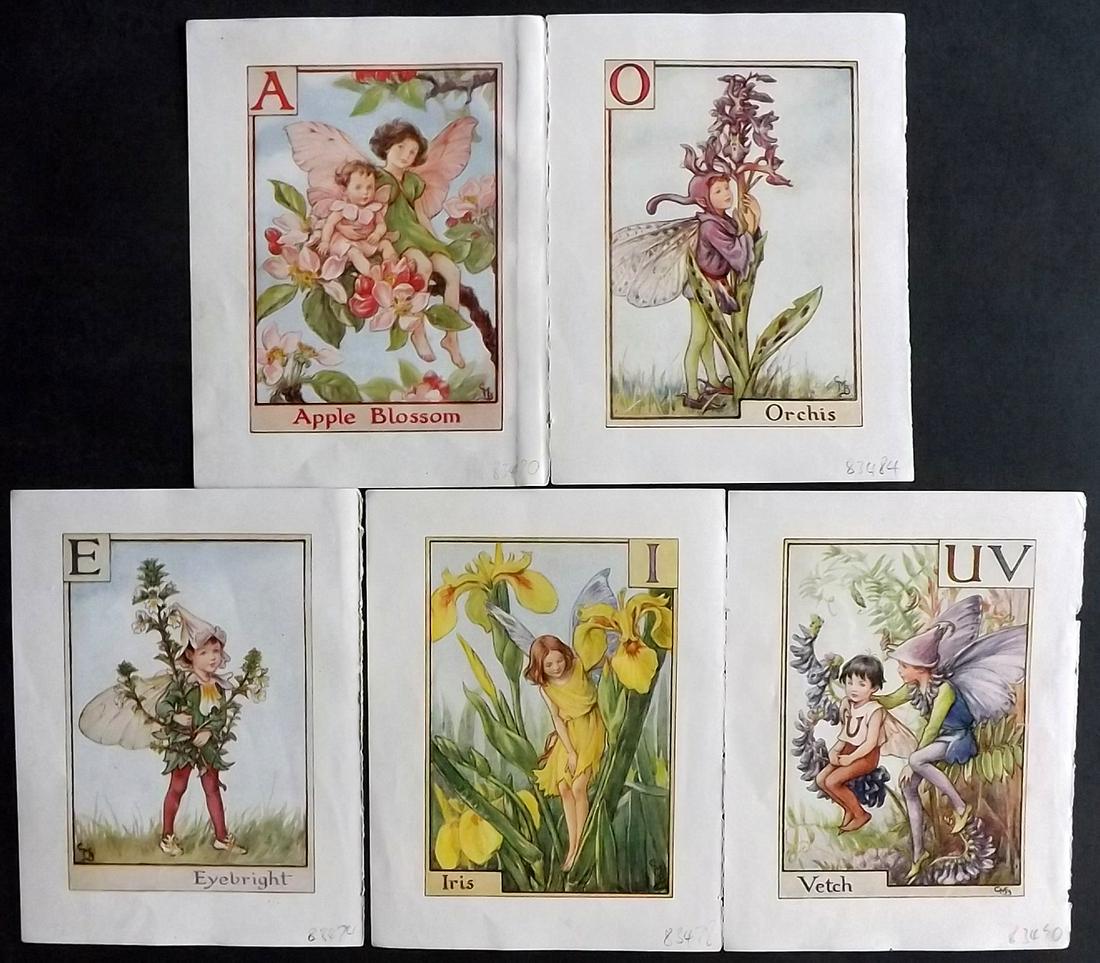 Barker, Cicely Mary C1940 Lot of 5 Flower-Fairy Prints - Alphabet Fairies - Vowels: Lithographs Published C1935-45 by Blackie & Son, London & Glasgow for the "Flower-Fairies" Series by Cicely Mary Barker. Reverse side blank. Paper Size: 5.5 x 4 inch (14 x 10cm) Good Condition