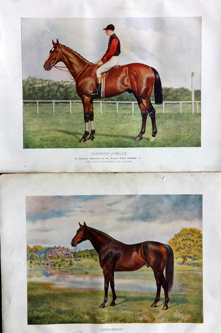 Prince-Sheldon, J. 1902 Pair of Antique Horse Prints (1 of 2)
