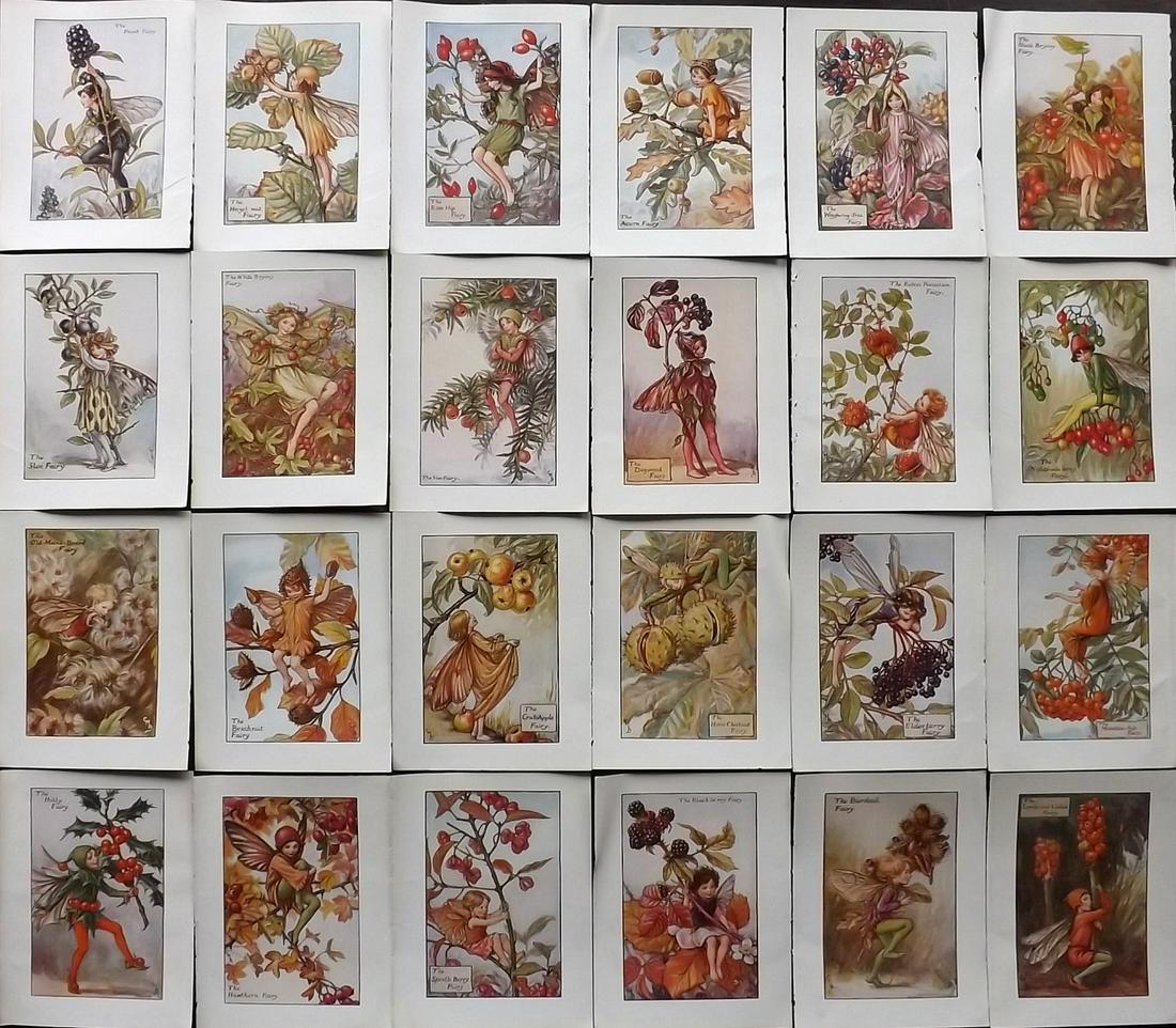 Barker, Cicely Mary C1940 Lot of 24 Flower-Fairy Prints - Autumn Fairies (1 of 5)