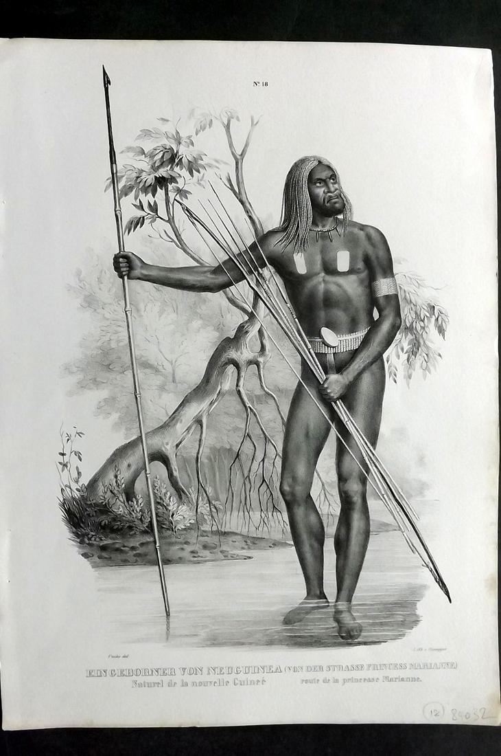 Schinz & Brodtmann C1840 Print. Engeborner von Neuguinea. Pacific New Guinea 18 (1 of 2)