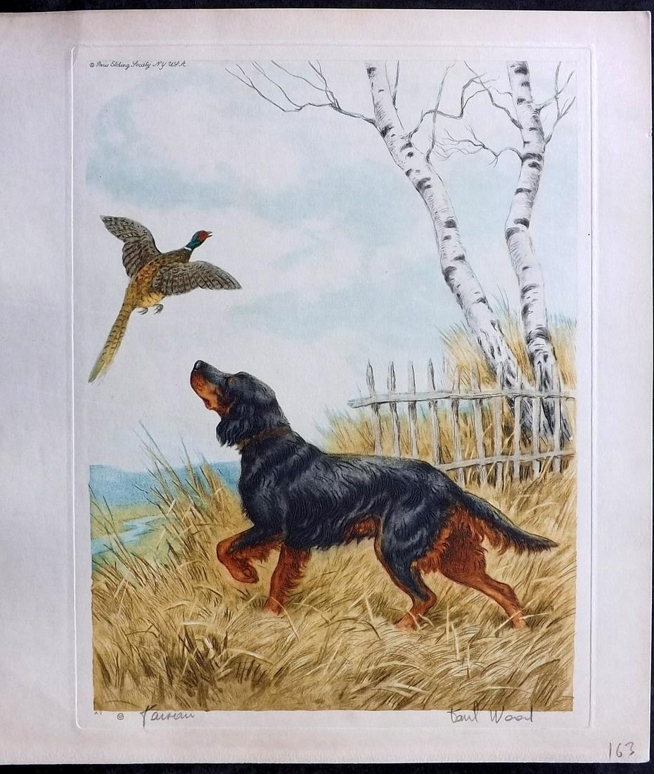 Wood, Paul C1935 Signed Dog Etching. Faisan (1 of 2)