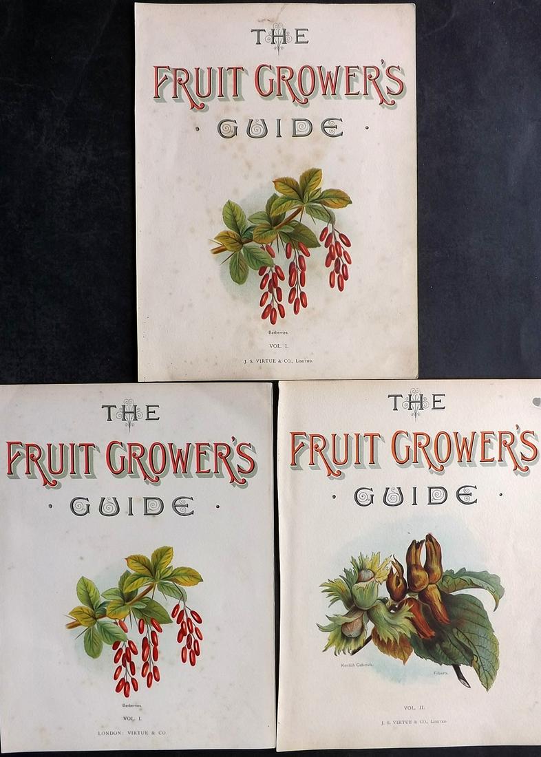 Wright, John 1894 Lot of 3 Antique Fruit Prints. Titles: Chromolithographs Published 1892-4 by J.S. Virtue & Co, London for "The Fruit Growers Guide" First Edition by John Wright. Paper Size: 11 x 8 inch (28 x 21cm) Minor chipping to margins. Very minor bac