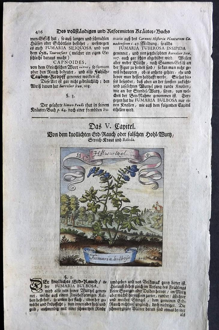 Merian, Matthaeus 1719 HCol Botanical Print. Fumaria (1 of 2)