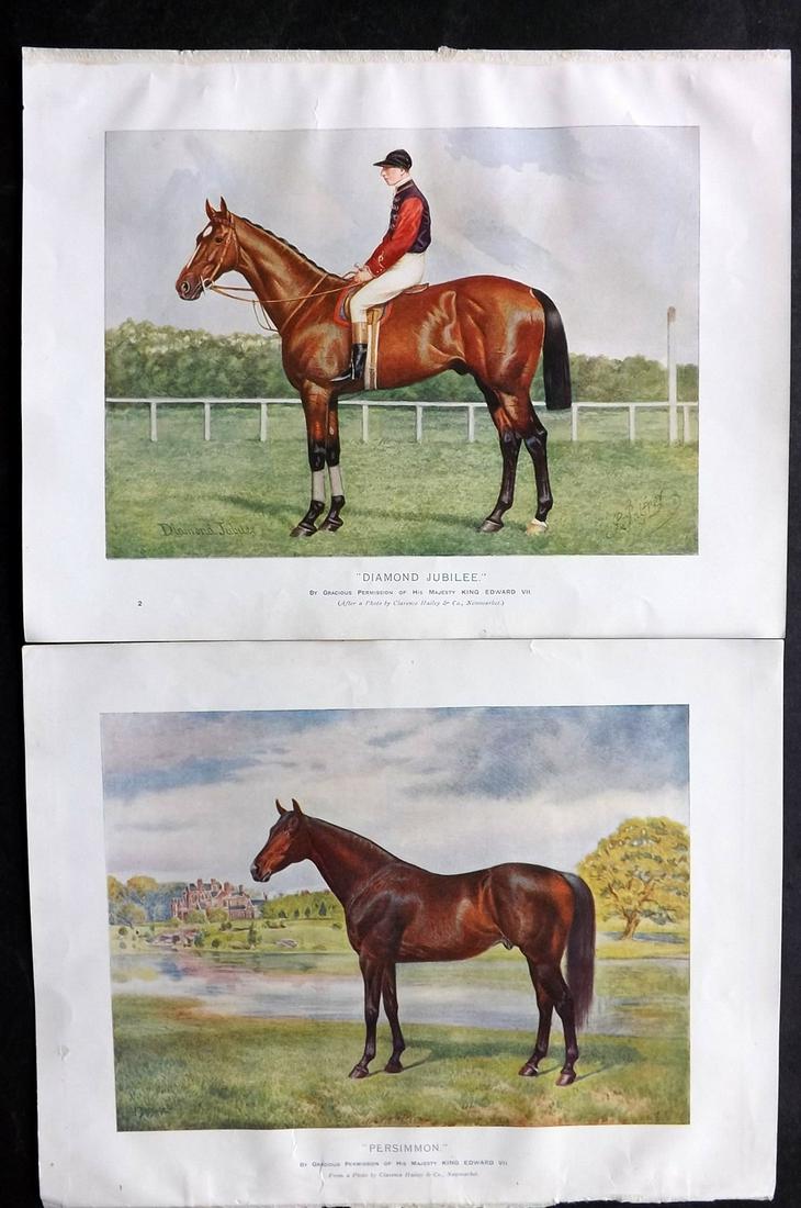 Prince-Sheldon, J. 1902 Pair of Antique Horse Prints (1 of 2)