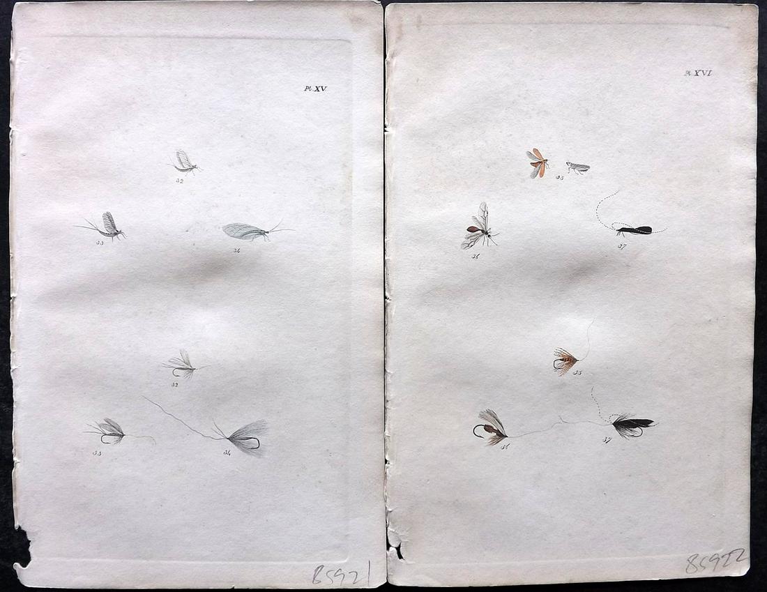 Reynolds, Alfred 1849 Pair of Hand Col Prints. Fly Fishing Flies (1 of 2)