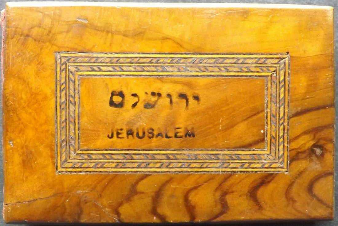 Pressed Flowers Album C1910 Flowers from The Holy Land, 12 Samples (1 of 7)