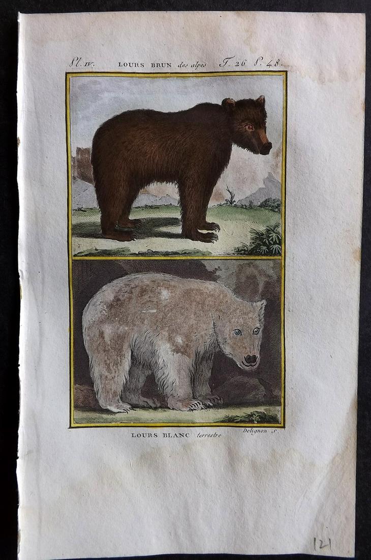 Buffon & Sonnini C1800 Hand Col Print. Brown & Polar Bear: Hand Colored Copper Plate Published 1799-1808, Paris for "Histoire naturelle générale et particulière" by the Comte de Buffon and Charles Nicolas Sigisbert Sonnini. Paper Size: 7.5 x 5 inch (19 x 1