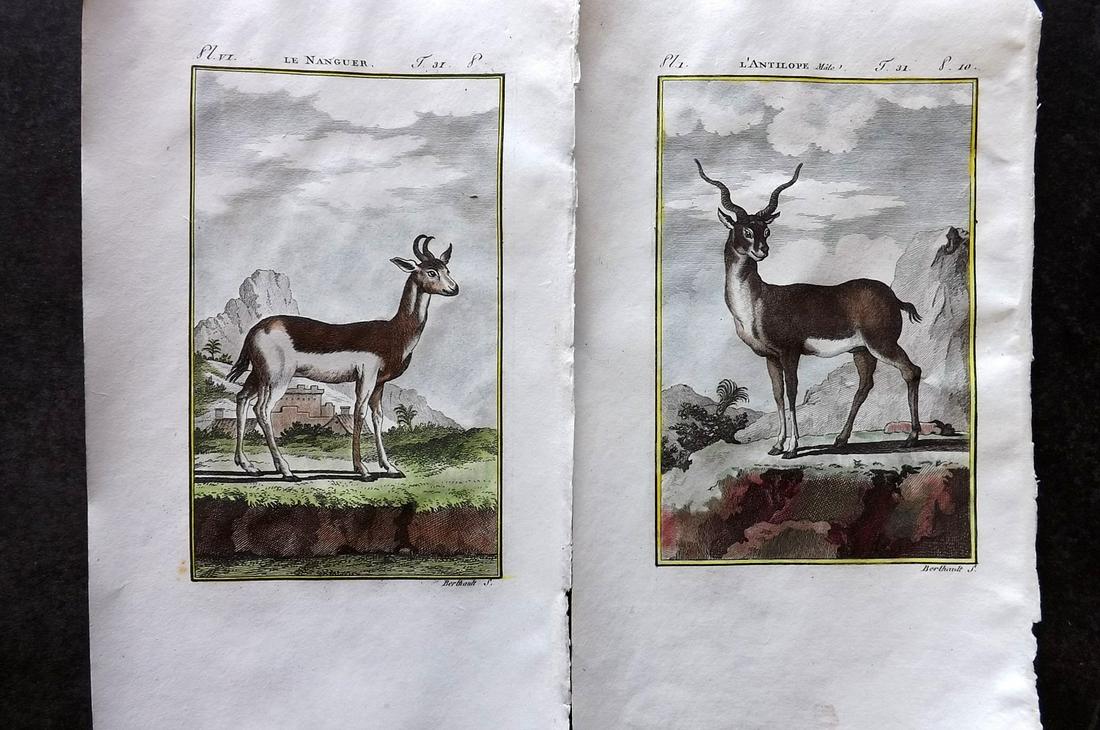 Buffon & Sonnini C1800 Pair of Hand Col Prints. Antelopes: Hand Colored Copper Plate Published 1799-1808, Paris for "Histoire naturelle générale et particulière" by the Comte de Buffon and Charles Nicolas Sigisbert Sonnini. Paper Size: 7.5 x 5 inch (19 x 1