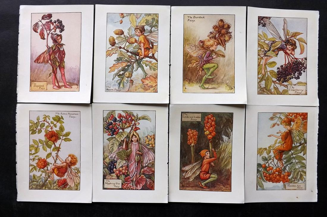 Barker, Cicely Mary C1940 Lot of 8 Flower-Fairy Prints - Autumn: Autumn Fairies. Lithographs Published C1935-45 by Blackie & Son, London & Glasgow for the "Flower-Fairies" Series by Cicely Mary Barker. Reverse side blank. Paper Size: 5.5 x 4 inch (14 x 10cm) Good C