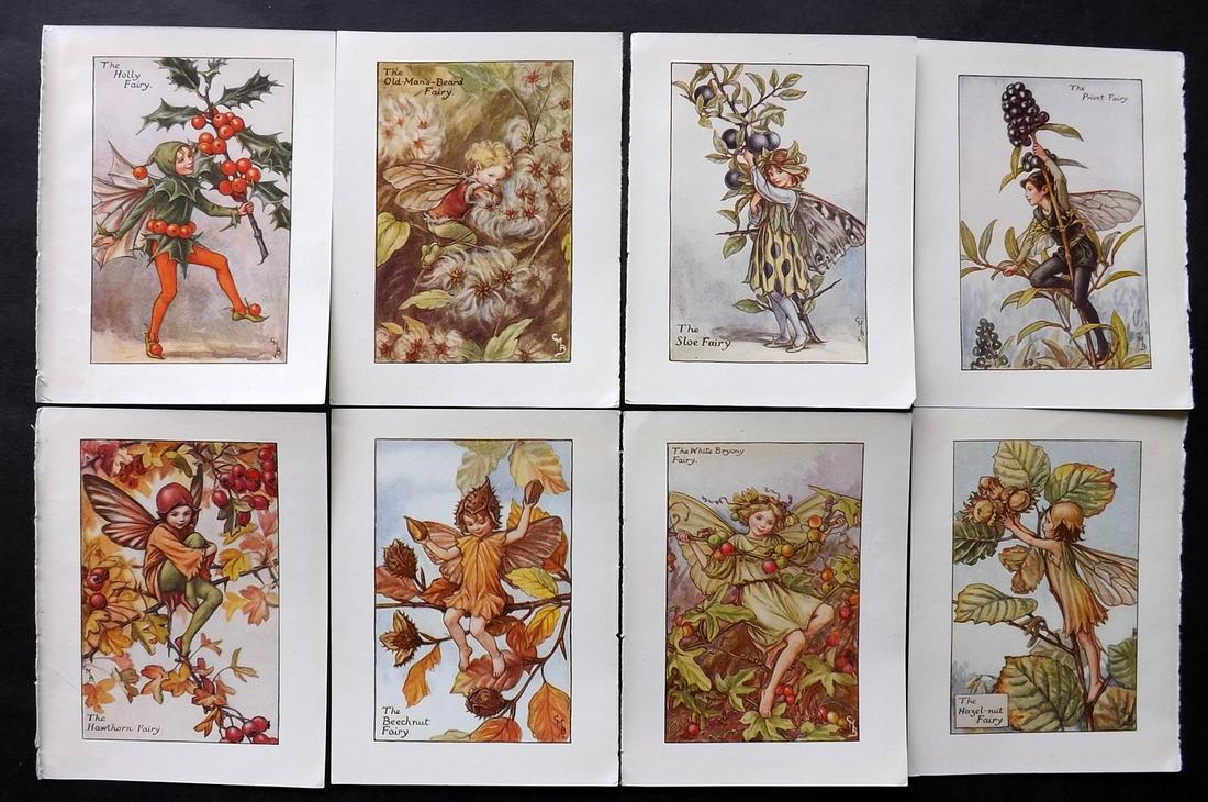 Barker, Cicely Mary C1940 Lot of 8 Flower-Fairy Prints - Autumn: Autumn Fairies. Lithographs Published C1935-45 by Blackie & Son, London & Glasgow for the "Flower-Fairies" Series by Cicely Mary Barker. Reverse side blank. Paper Size: 5.5 x 4 inch (14 x 10cm) Good C