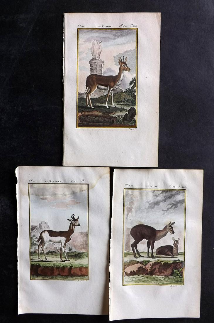 Buffon & Sonnini C1800 Lot of 3 Hand Col Prints. Deer, Antelope (1 of 2)
