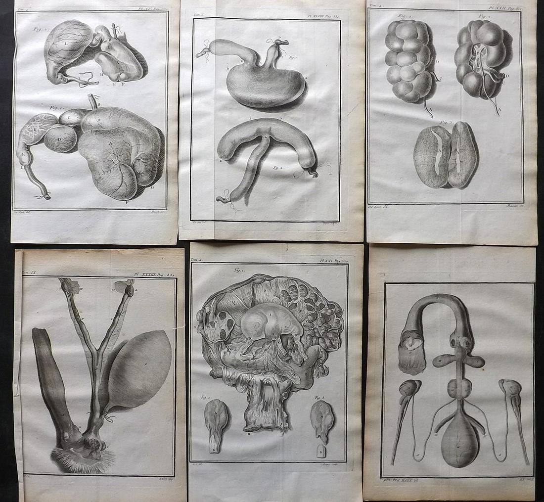 Buffon, Comte de C1760 Lot of 6 First 4to Edition Prints. Anatomy Organs: Copper Plates Published 1749-89 by Imprimerie Royale, Paris for "Histoire naturelle, générale et particulière" First and 4to Edition by Georges-Louis Leclerc, Comte de Buffon. Paper Size: 10 x 7.5