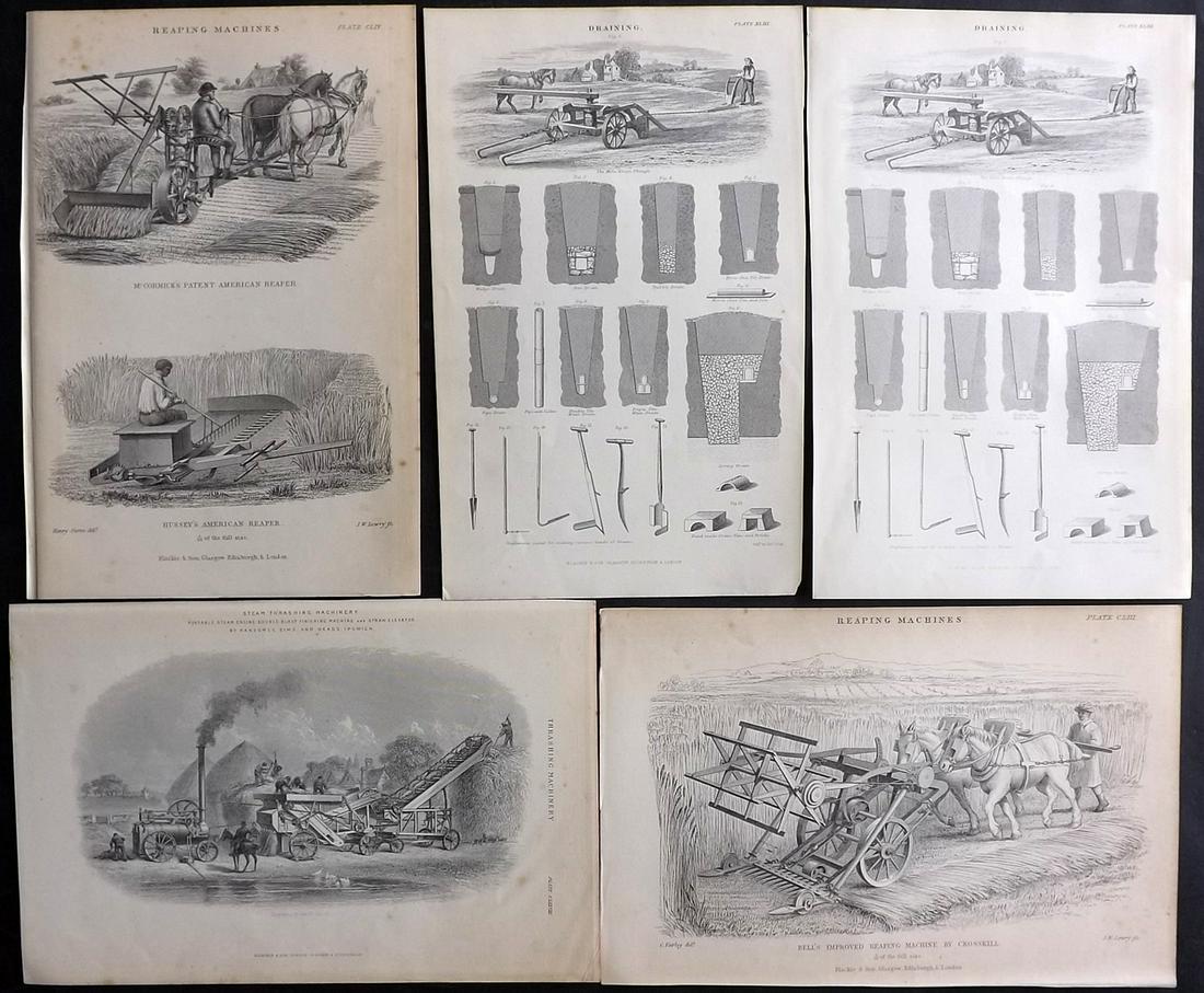 Blackie (Pub) C1875 Lot of 5 Antique Agriculture Prints (1 of 2)