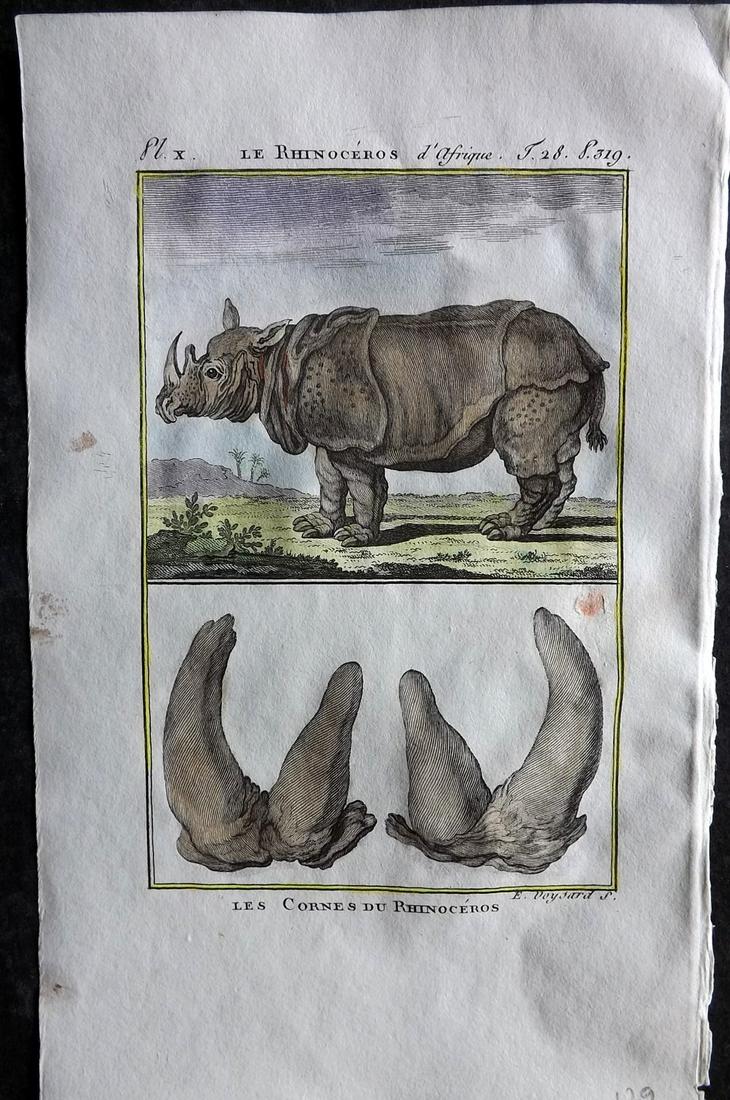Buffon & Sonnini C1800 Hand Col Print. Rhino 28-10: Hand Colored Copper Plate Published 1799-1808, Paris for "Histoire naturelle générale et particulière" by the Comte de Buffon and Charles Nicolas Sigisbert Sonnini. Paper Size: 7.5 x 5 inch (19 x 1