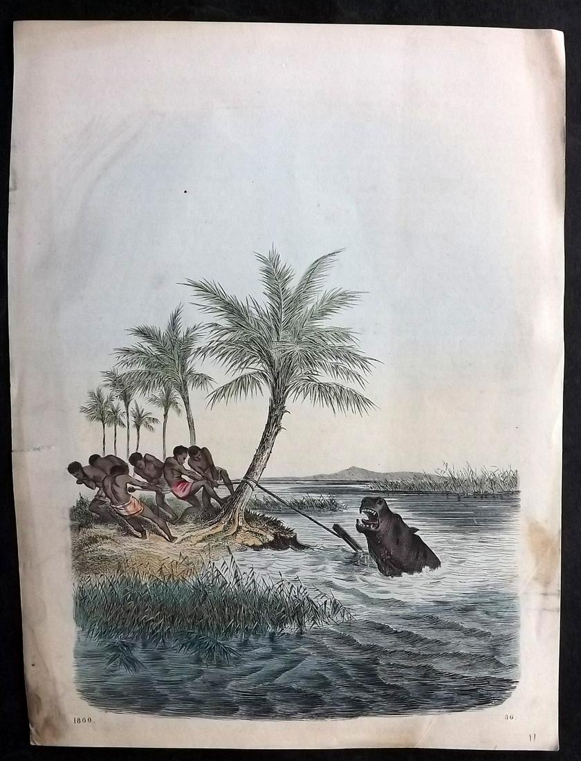 Hoffmann, Carl 1858 Hand Col Print. Africa Hippo Hunt (1 of 2)