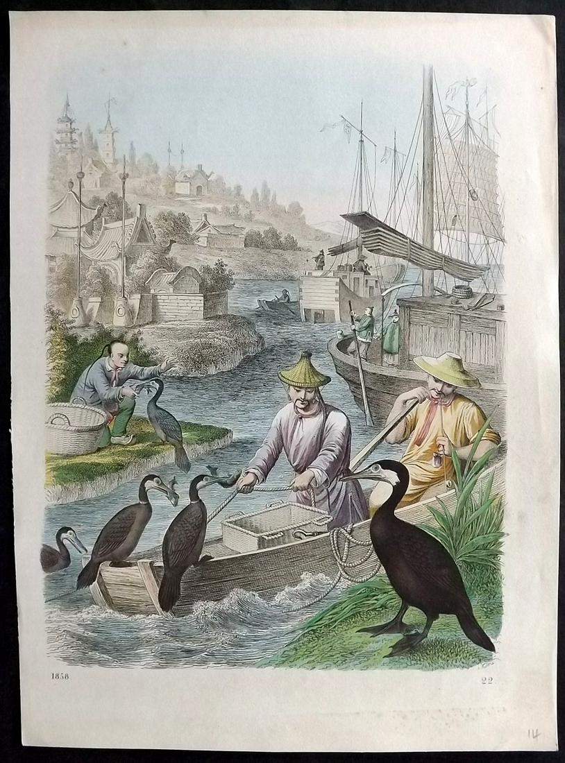 Hoffmann, Carl 1858 Hand Col Print. Cormorant Fishing, China: Hand Colored Lithograph Published 1842-80, Stuttgart for "Das Buch der Welt" by Carl Hoffmann. Paper Size: 9.5 x 7 inch (25 x 18cm) Approx. Good Condition