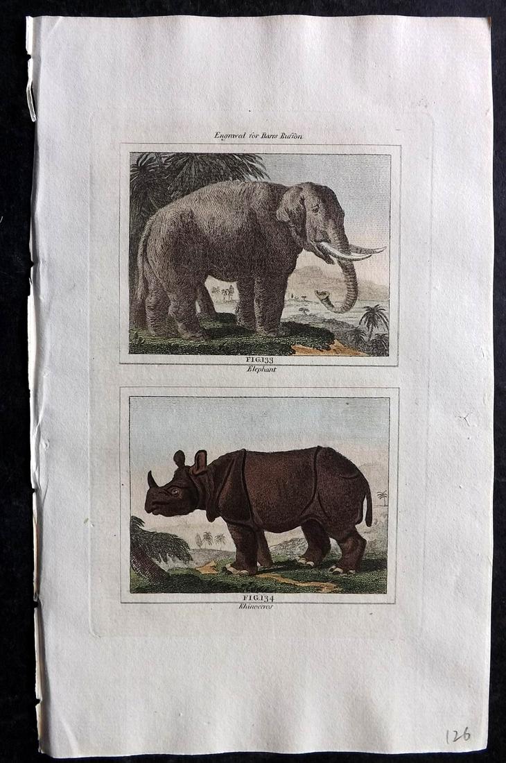 Buffon & Barr 1807 Hand Col Print. Rhino & Elephant: Hand Colored Copper Plate Published 1807, London for "Barr's Buffon. Buffon's Natural History…" by the Comte de Buffon & J. S. Barr. Paper Size: 7.5 x 4.5 inch (19 x 12cm) Good Condition