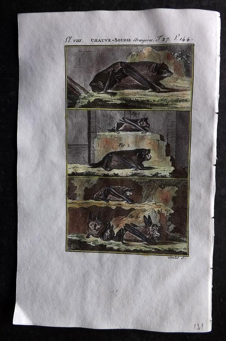 Buffon & Sonnini C1800 Hand Col Print. Bats: Hand Colored Copper Plate Published 1799-1808, Paris for "Histoire naturelle générale et particulière" by the Comte de Buffon and Charles Nicolas Sigisbert Sonnini. Paper Size: 7.5 x 5 inch (19 x 1