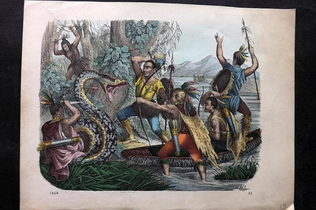 Hoffmann, Carl 1859 Hand Col Print. Attacking Snake, Americas (1 of 2)