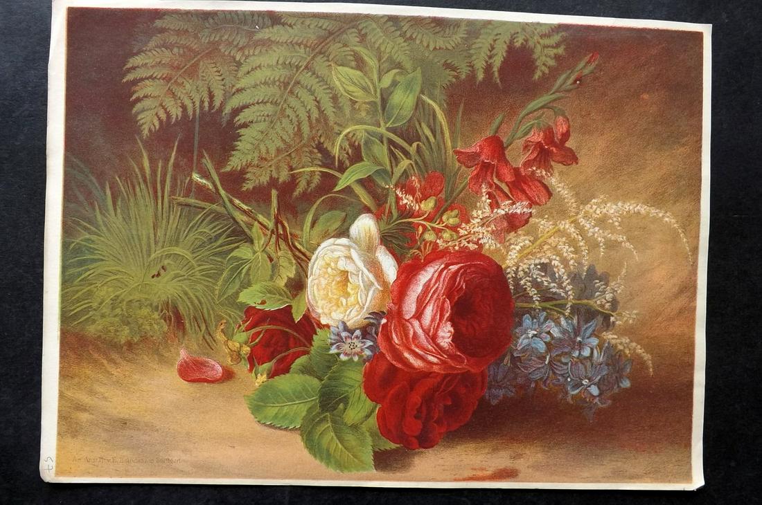 Hoffmann, Carl C1870 Hand Col Botanical Print. Bouquet incl Roses (1 of 2)