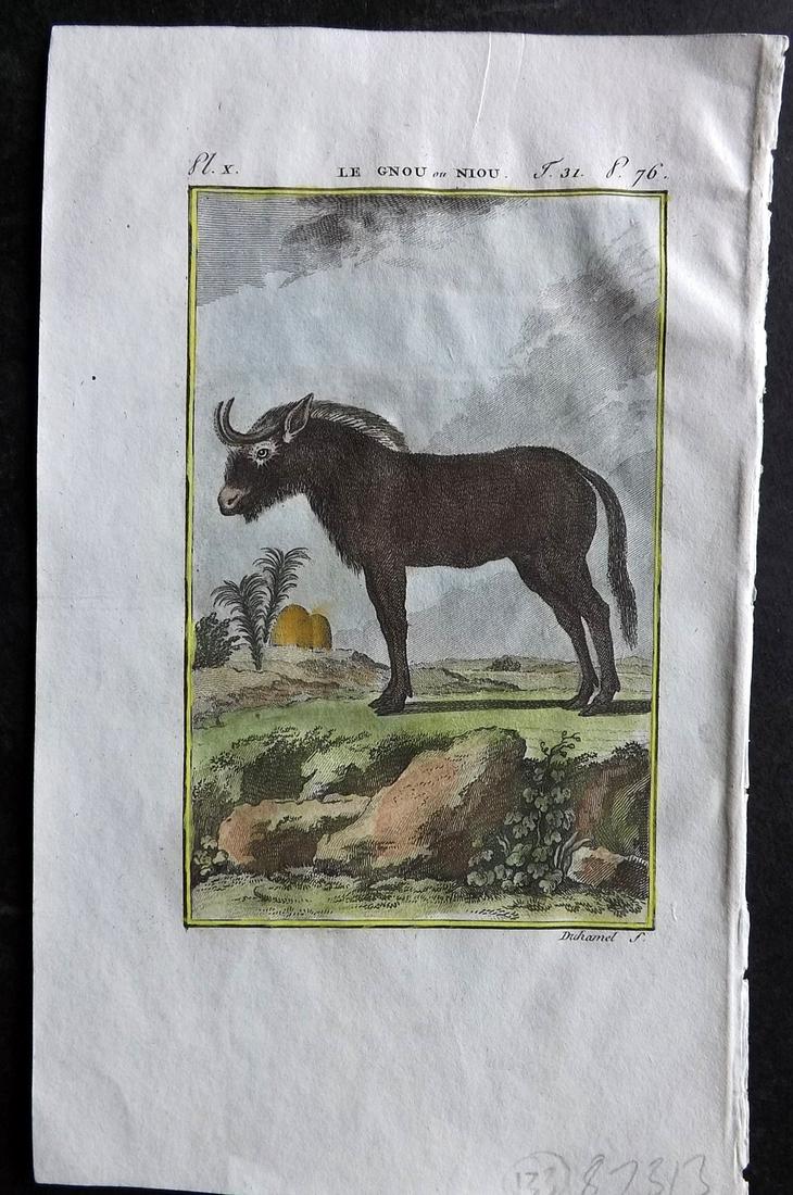 Buffon & Sonnini C1800 Hand Col Print. Gnu: Hand Colored Copper Plate Published 1799-1808, Paris for "Histoire naturelle générale et particulière" by the Comte de Buffon and Charles Nicolas Sigisbert Sonnini. Paper Size: 7.5 x 5 inch (19 x 1