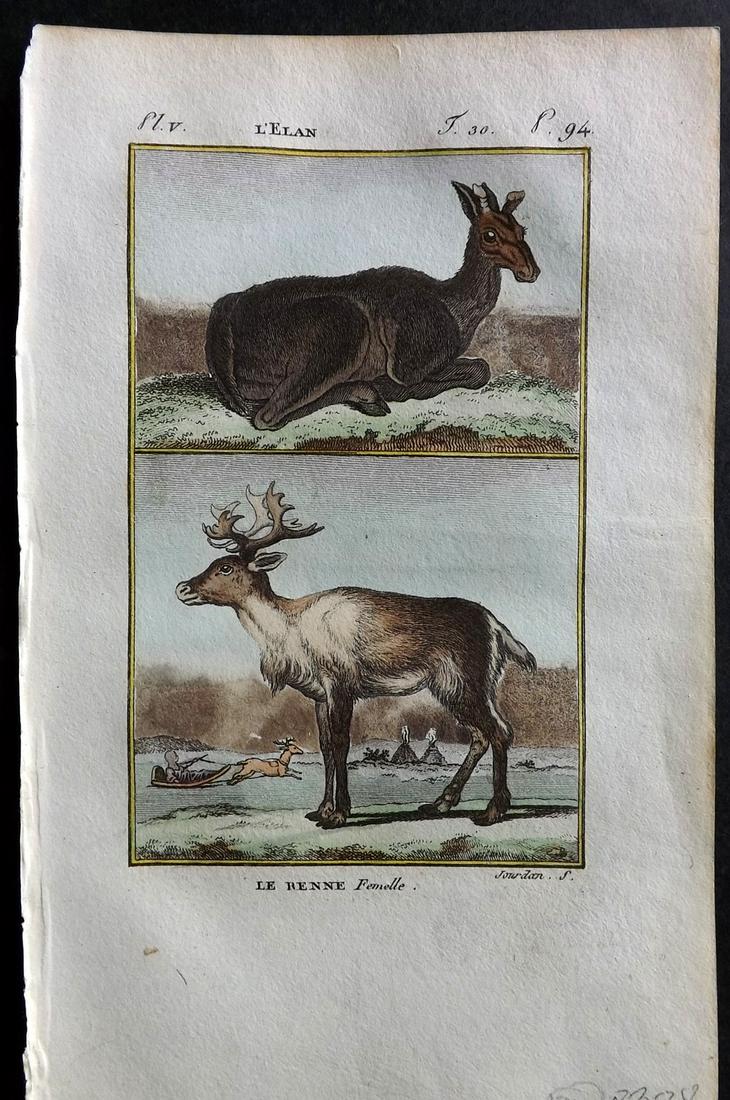 Buffon & Sonnini C1800 Hand Col Print. Reindeer, Elan: Hand Colored Copper Plate Published 1799-1808, Paris for "Histoire naturelle générale et particulière" by the Comte de Buffon and Charles Nicolas Sigisbert Sonnini. Paper Size: 7.5 x 5 inch (19 x 1