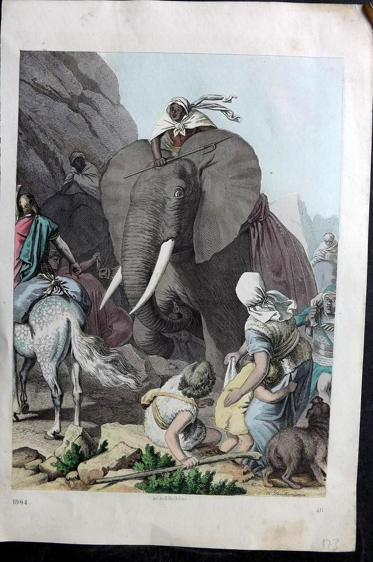 Hoffmann, Carl 1864 Hand Col Print. Elephant (1 of 2)