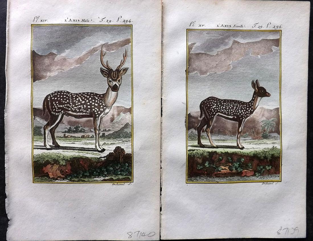 Buffon & Sonnini C1800 Pair of Hand Col Prints. Axis Deer (1 of 2)