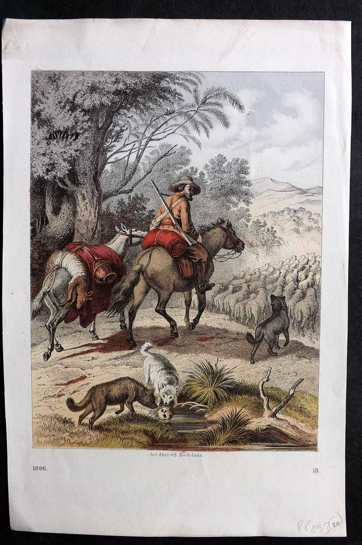 Hoffmann, Carl 1866 Hand Col Print. Herder, Australia Outback 18 (1 of 2)
