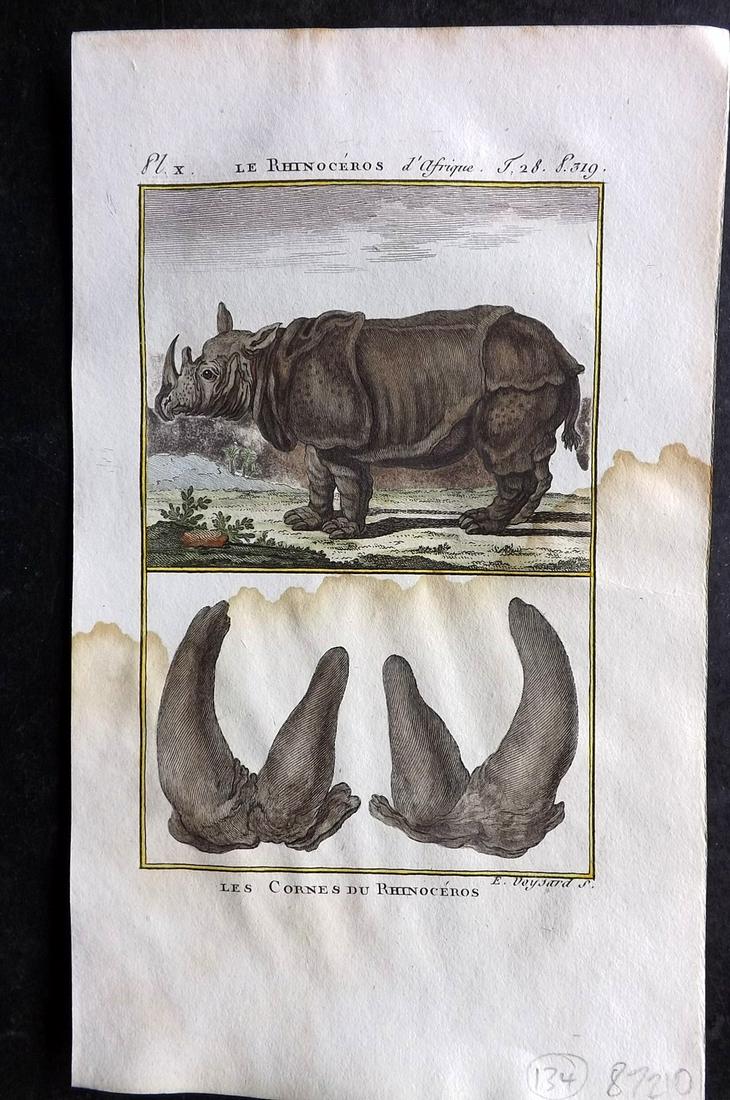 Buffon & Sonnini C1800 Hand Col Print. Rhino 28-10: Hand Colored Copper Plate Published 1799-1808, Paris for "Histoire naturelle générale et particulière" by the Comte de Buffon and Charles Nicolas Sigisbert Sonnini. Paper Size: 7.5 x 5 inch (19 x 1