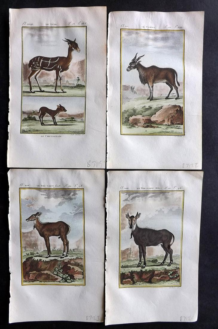 Buffon & Sonnini C1800 Lot of 4 Hand Col Prints. Antelopes: Hand Colored Copper Plate Published 1799-1808, Paris for "Histoire naturelle générale et particulière" by the Comte de Buffon and Charles Nicolas Sigisbert Sonnini. Paper Size: 7.5 x 5 inch (19 x 1