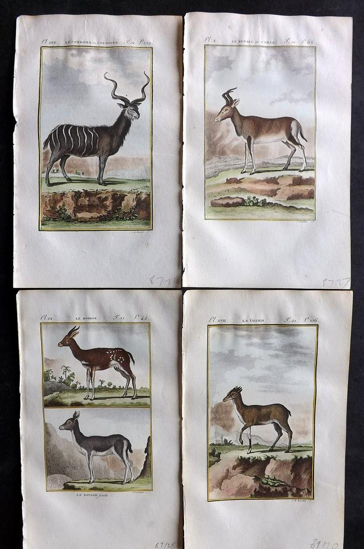 Buffon & Sonnini C1800 Lot of 4 Hand Col Prints. Antelopes: Hand Colored Copper Plate Published 1799-1808, Paris for "Histoire naturelle générale et particulière" by the Comte de Buffon and Charles Nicolas Sigisbert Sonnini. Paper Size: 7.5 x 5 inch (19 x 1