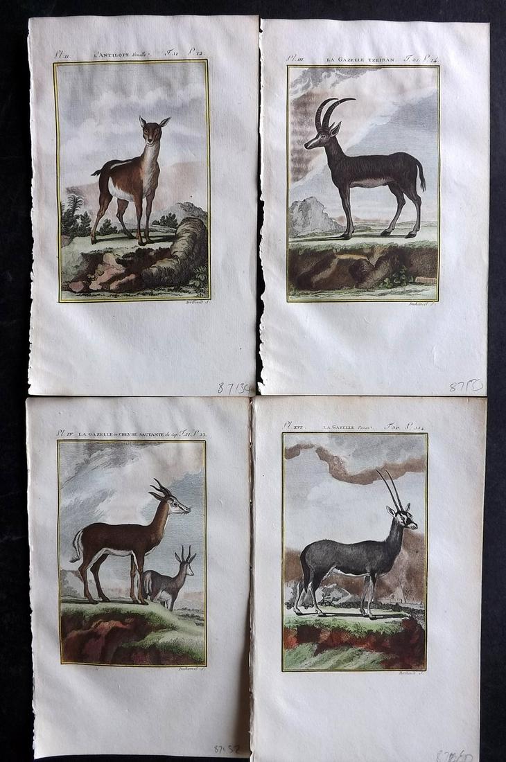 Buffon & Sonnini C1800 Lot of 4 Hand Col Prints. Gazelle, Antelope: Hand Colored Copper Plate Published 1799-1808, Paris for "Histoire naturelle générale et particulière" by the Comte de Buffon and Charles Nicolas Sigisbert Sonnini. Paper Size: 7.5 x 5 inch (19 x 1