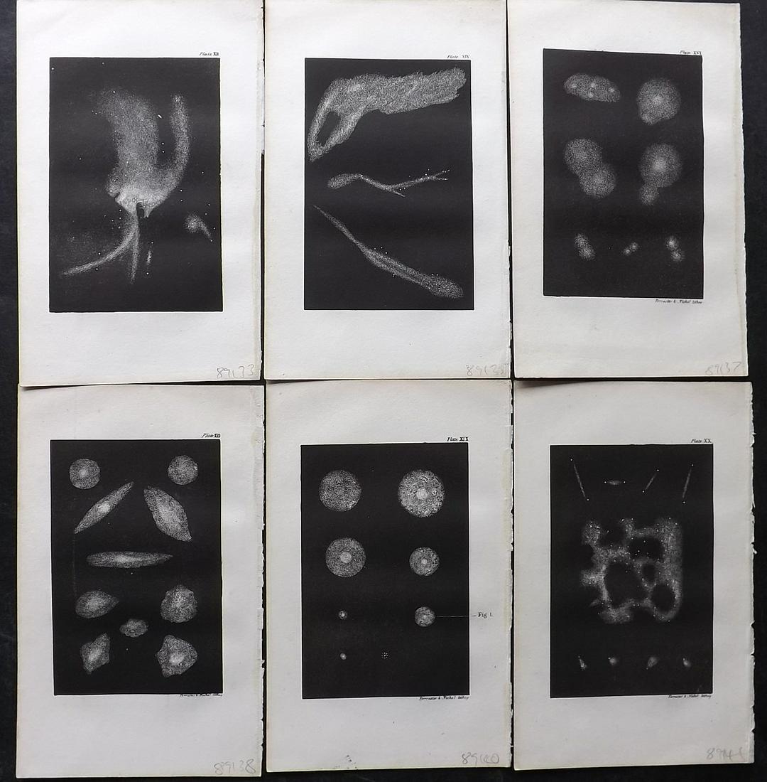 Nichol, John 1837 Lot of 6 Antique Astronomy Prints. Celestial (1 of 2)
