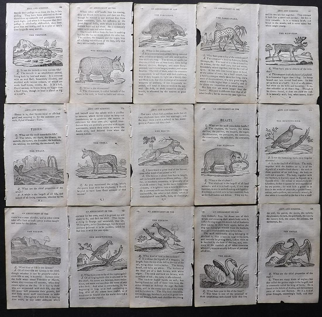 Turner, Richard 1814 Lot of 15 Sheets of Miniature Woodcuts. Natural History & Birds: 15 Sheets containing one or more Woodcuts Published 1814, London for "An Easy Introduction to the Arts and Sciences" by Richard Turner. Paper Size: 5.5 x 3.5 inch (14 x 9cm) Surrounding and verso text