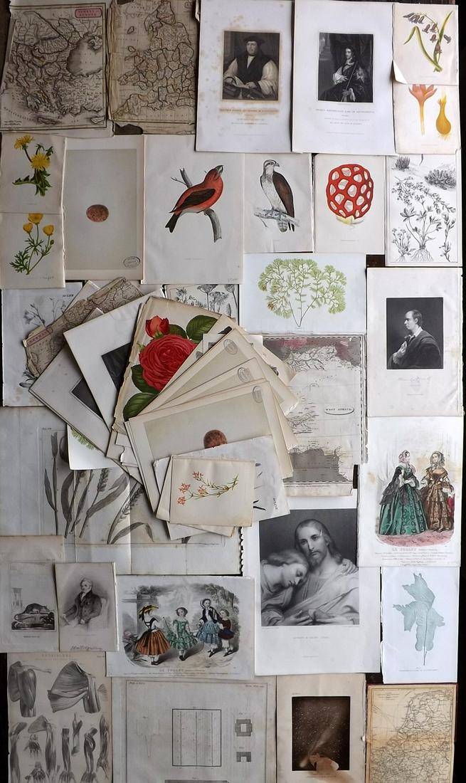 Mixed Prints 19th Cent. Lot of 55 Engravings and Lithos (1 of 5)