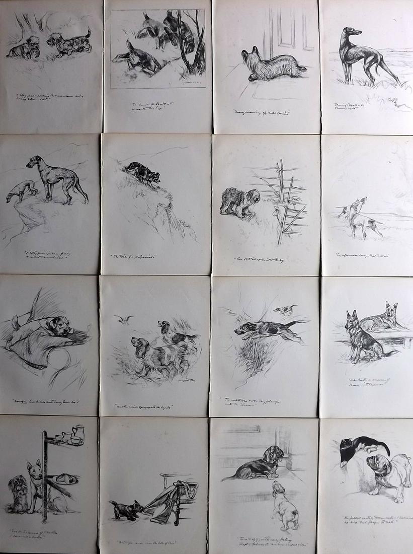 Stokes & Harnett 1936 Lot of 16 Vintage Dog Prints (1 of 7)